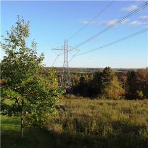 Évaluation forestière du projet d’interconnexion électrique Québec-New Hampshire