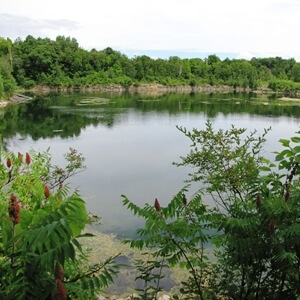 Caractérisation écologique des milieux naturels de Vaudreuil-Dorion