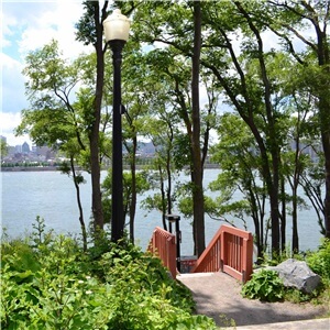 Jean-Drapeau Park, Montréal: Professional Urban Forestry Services