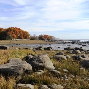 Saint-Augustin-de-Desmaures: Natural Environment Management Plan