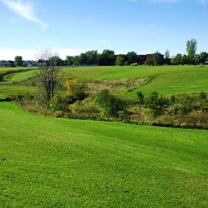 Saint-Hyacinthe: Design of a Fish Habitat Compensation Development