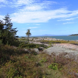 Évaluation des effets environnementaux de la réhabilitation de l’ile de la Providence