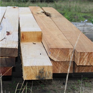 Sectoral diagnosis of the workforce and action plan for the wood processing sector in Quebec (15 regions)