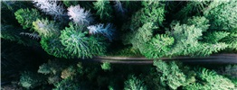 Environment