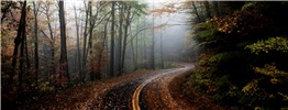 Forestry